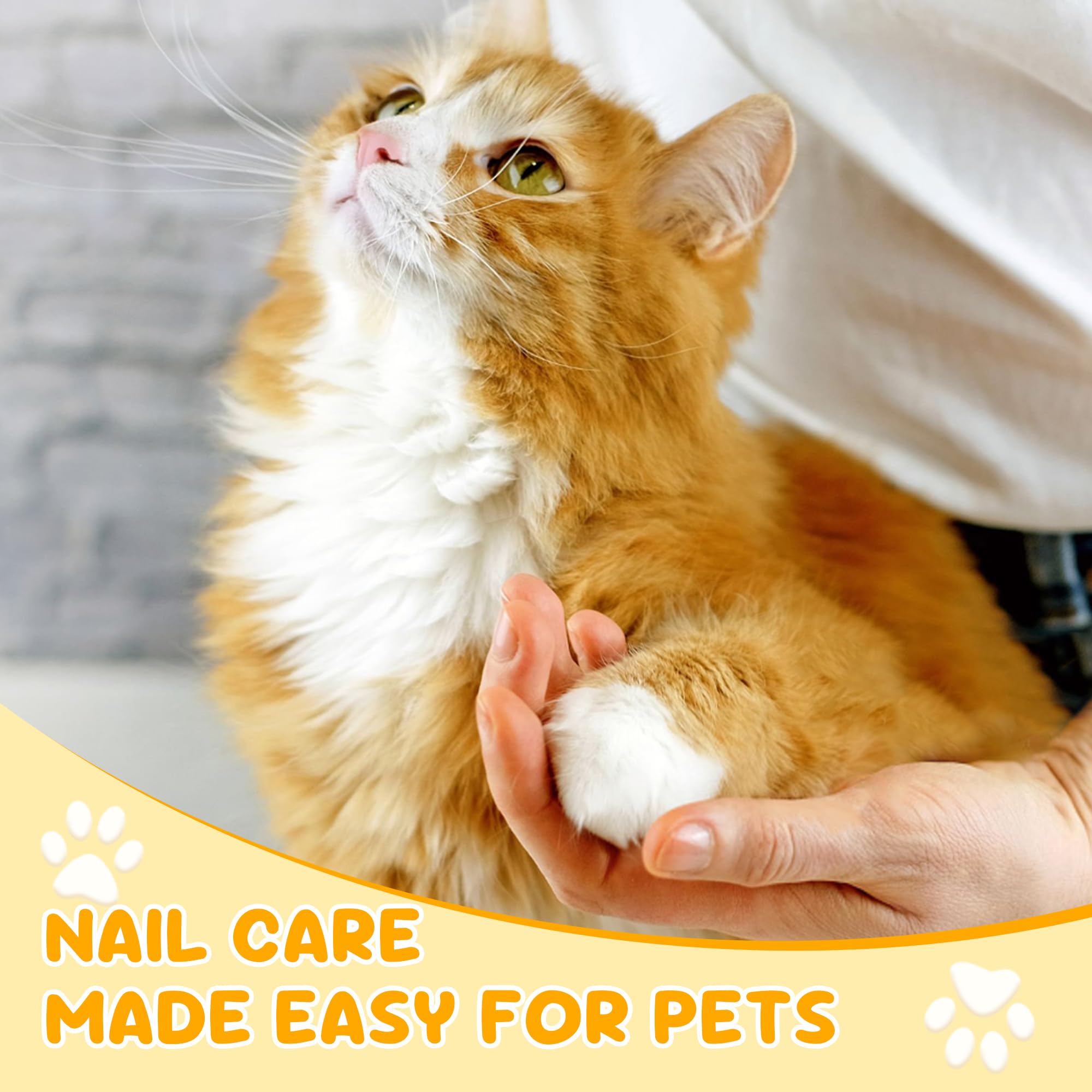 Krallenschere Katzen – Einfach &amp; Sicher für Anfänger – Ergonomisches Design für komfortablen Griff – Ideal zur Katzengrooming