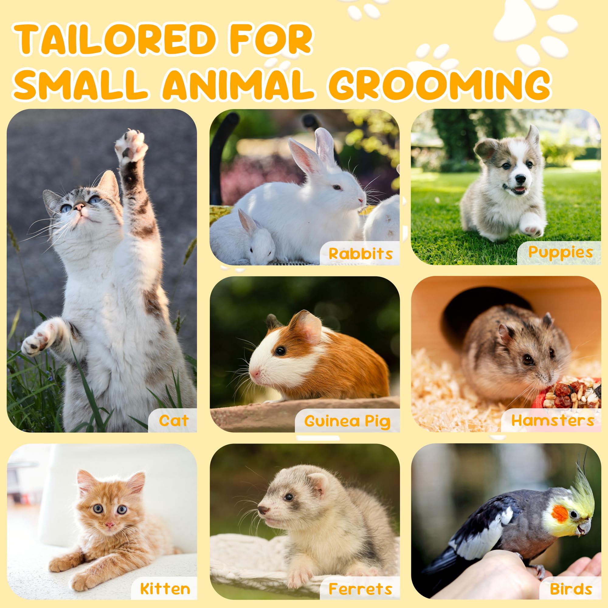 Krallenschere Katzen – Einfach &amp; Sicher für Anfänger – Ergonomisches Design für komfortablen Griff – Ideal zur Katzengrooming